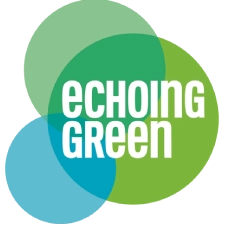 http://parvsaini.com/safeaccess/wp-content/uploads/2024/04/Echoing-green-Logo.webp